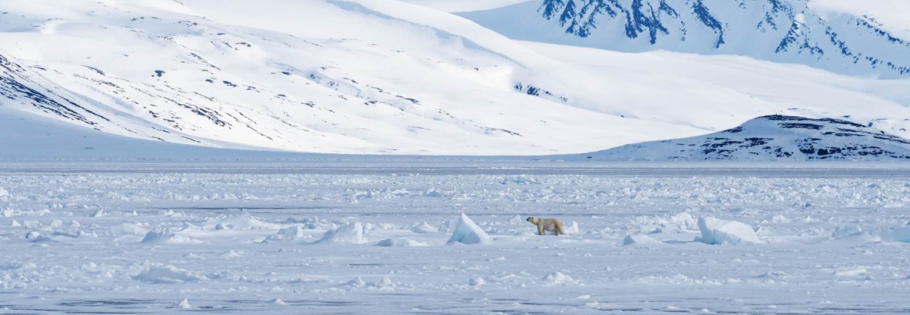 Foto: PolarQuest